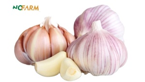 Ajo Fresco Entero Cultivado en Granjas de Shandong - Tipo Común - Product Image 3
