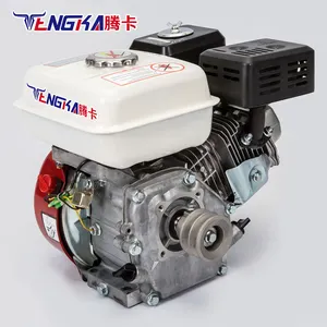 Tengka Mini Motor a gasolina de dois cilindros 6.5hp Bomba de água Motor a gasolina