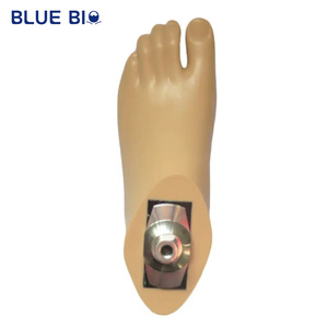 Assistent Revalidatie Kwaliteit Prothetische Ledematen Beendelen Onder Knie Kunstvoeten Prothese Voet - Product Image 3