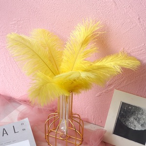 Plume d'autruche en vrac de 30 à 35cm teinte colorée de haute qualité pour lampe de fête artisanat de décoration murale de mariage artisanat - Product Image 4
