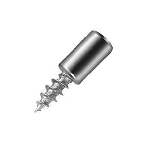 Self Tapping <b>Screw</b> Shelf Support With <b>Nylon</b> Cap For Cabinet Wardrobe Storage Rack Glass Shelf - Product Image 1