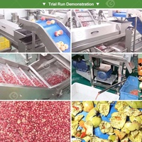 Granaatappel-scheider-verwerkingslijn, crusher, aril-machine, granaatappelzaad-scheider-machine