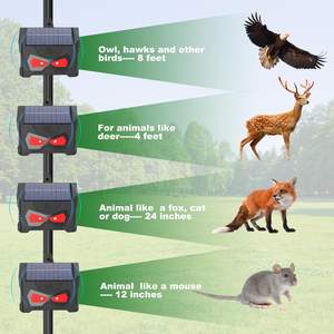 SAIJZEK Atacado Jardim Ultrasonic Bat Repeller Solar Bateria Powered impermeável Eco-Friendly sólido animal repelente dispositivo - Product Image 1