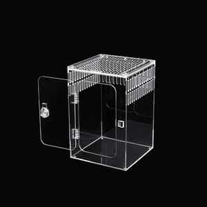 Crawling <b>Pet</b> Crawler Tree Habitat Special Feeding Box Lizard Spider Transparent Visible Non Installation Feeding Box - Product Image 5