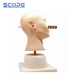 Modèle avancé de formation de Diagnostic d'oreille SC--LV41 de mannequin clinique de mannequin d'enseignement médical - Product Image 3