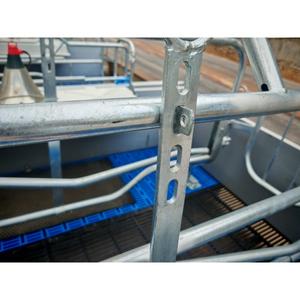 Offerta Speciale: Gabbie per Parto Suini, Attrezzature per Allevamento Suini, Box e Letti per Suini - Product Image 5