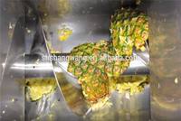Energiedrank Fruit Gearomatiseerde Water Maken Conservenmachine Voor Drank Productielijn Vul Fabrieken Sappen Verwerkingsfabriek