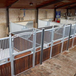 Sang trọng phong cách Châu Âu ngựa ổn định 4x4m tùy chỉnh khung thép chuồng ngựa tạo điều kiện chăm sóc ngựa - Product Image 4