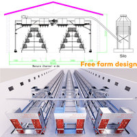 Système d'Élevage Avicole Automatique pour 10 000 Poules Ponduses, Cage à Poulets Étagée à 4 Niveaux pour la Production d'Œufs, à Vendre
