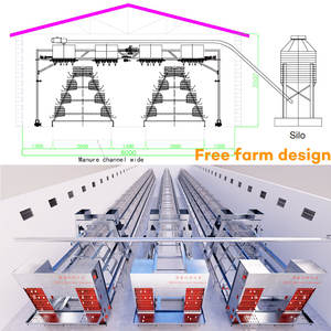Système d'Élevage Avicole Automatique pour 10 000 Poules Ponduses, Cage à Poulets Étagée à 4 Niveaux pour la Production d'Œufs, à Vendre - Product Image 6