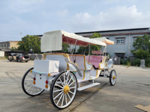 รถม้าลาก/รถชมวิวไฟฟ้าแบบกำหนดเองได้ ราคาโรงงานถูกพิเศษ - Product Image 6