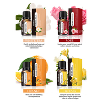 Diffuseur d'huiles essentielles hydrosolubles de 10 ml, désodorisant d'air avec des senteurs de fruits, de fleurs de cerisier, de menthe, de lys, aromathérapie