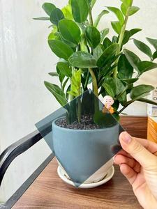 स्पष्ट कांस्य नीला हरी 3 मिमी 4*8 फीट पॉली कार्बोनेट ठोस शीट एंटी-यूव कोटिंग के साथ छत परियोजनाओं के लिए - Product Image 3