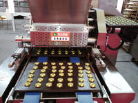 Machine à biscuits et gâteaux automatique, HY-600 kg, prix