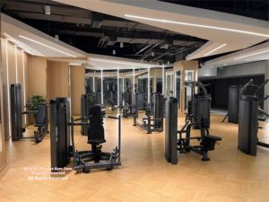 Venta al por mayor Multiestación Gimnasio comercial Cinco estaciones profesionales con pesas de paquete para uso de 5 personas - Product Image 4