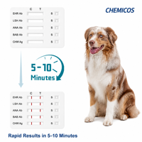 Kit de test rapide de l'antigène du parvovirus canin CPV Ag, cassette de test du parvovirus canin, diagnostic vétérinaire pour clinique vétérinaire et usage domestique