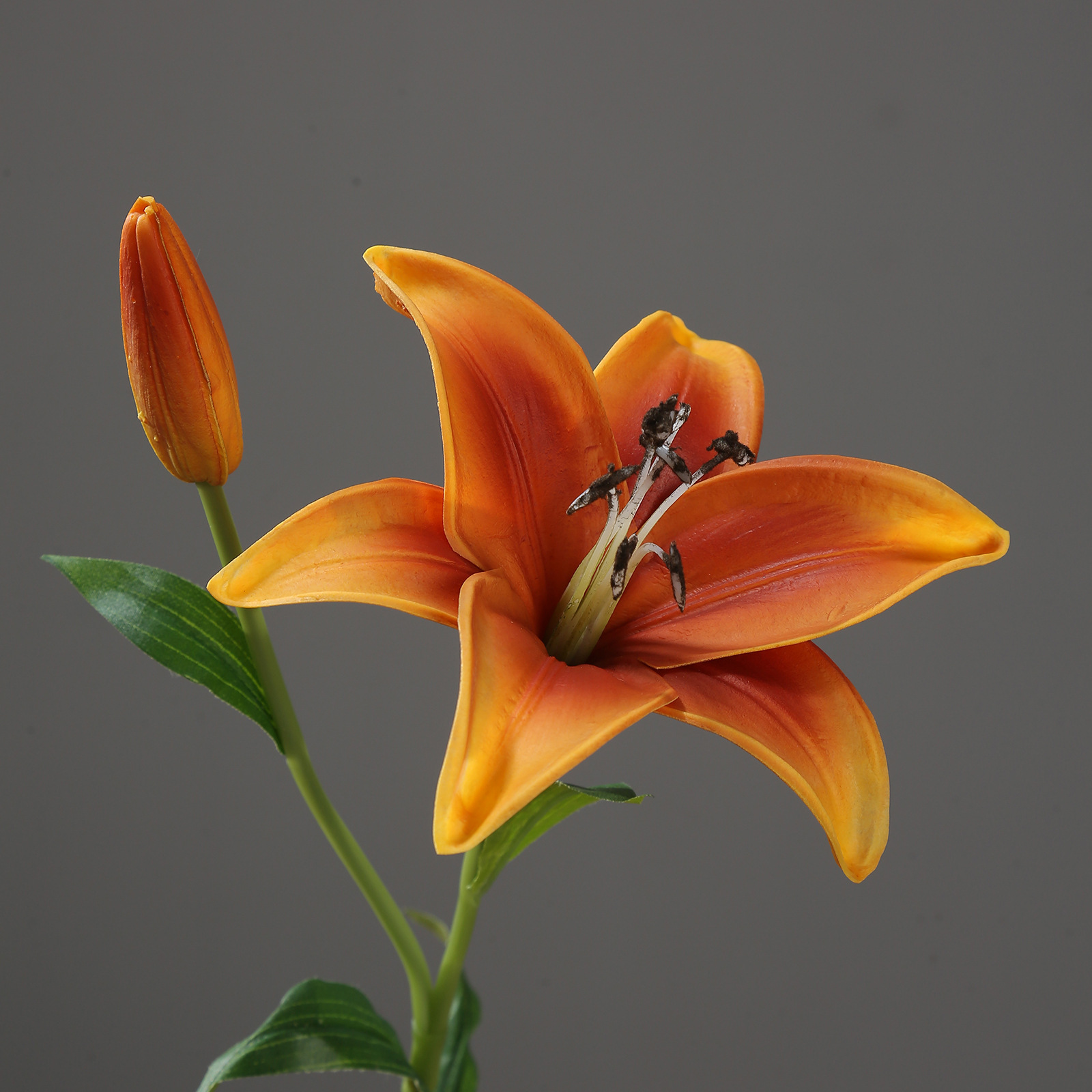 Arancione