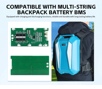BMS Bluetooth intelligent personnalisé pour pulvérisateur à dos, carte de protection de batterie LiFePO4 4S-9S avec capteur de température