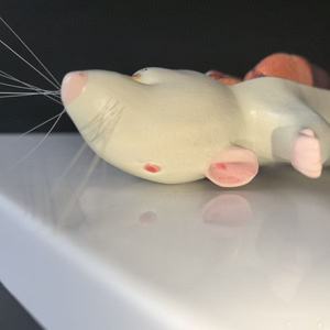 Nouveau modèle anatomique <span class=keywords><strong>de</strong></span> la structure interne <span class=keywords><strong>de</strong></span> la souris, spécimen d'élevage pour <span class=keywords><strong>l</strong></span>'enseignement <span class=keywords><strong>de</strong></span> la biologie et <span class=keywords><strong>l</strong></span>'anatomie animale - Product Image 3