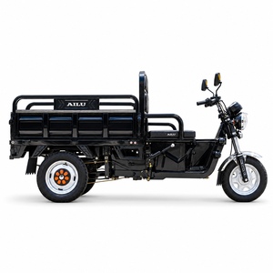 Tricycle électrique de fret 1000W AILU AL-HARVEST, batterie au plomb 60V 58 Ah, capacité de charge 500kg, freins à double tambour, OEM ODM Vente en gros - Product Image 3