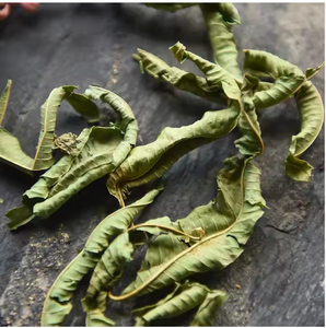 Feuilles de <span class=keywords><strong>verveine</strong></span> citronnée en gros, thé de <span class=keywords><strong>verveine</strong></span> citronnée, feuilles de Ma Bian Cao séchées en gros, feuilles de <span class=keywords><strong>verveine</strong></span> citronnée séchées pures à vendre - Product Image 2