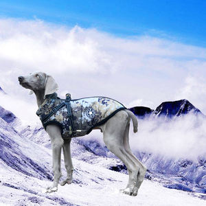 अनुकूलन पालतू परिधान गर्म डिजाइनर बिल्ली के कपड़े विक्रेता विंडप्रूफ फैशन जैकेट लोगो वेस्ट शीतकालीन छलावरण कुत्ता ट्रेंच कोट - Product Image 6