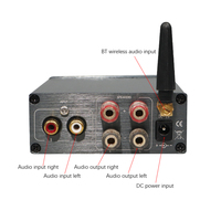 BRZHIFI Chine Usine Stéréo Puissance Amplificateur Numérique Audio HIFI 2.0 Puissance De Sortie 100W * 2 Gris Maison Portable Amp