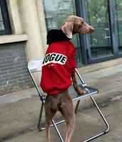 Sudadera de Lujo para Perro con Bloques de Color, Forro Polar Ecológico, Diseño Minimalista y Estilo Deportivo