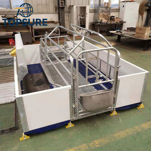 Chăn Nuôi Lợn thiết bị trang trại gieo đẻ giường và lồng giao hàng cho lợn nái - Product Image 4