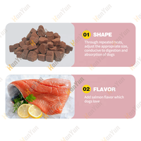 OEM/ODM Soins de santé et suppléments pour animaux de compagnie personnalisés Lysine Immunitaire Soft Chews pour chats Soutenir le système immunitaire et Double force Lysine
