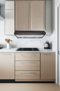 <span class=keywords><strong>Hotte</strong></span> <span class=keywords><strong>aspirante</strong></span> combinée <span class=keywords><strong>professionnelle</strong></span> de type T, plaque chauffante électrique, classe d'efficacité énergétique, largeur 600 mm, OEM commercial - Product Image 2