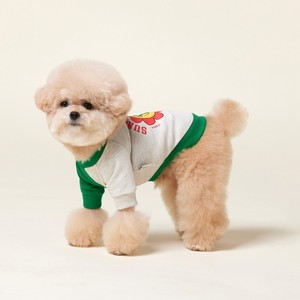 Joymay vêtements de luxe pour chiens personnalisé Patchwork sweat à capuche Collection d'été en gros bas quantité minimale de commande <span class=keywords><strong>prix</strong></span> pour caniche <span class=keywords><strong>poméranien</strong></span> - Product Image 1