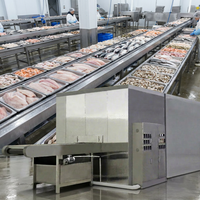 Máquina de Congelación Rápida IQF Tipo Túnel, Congelador de Impacto para Congelar Mariscos