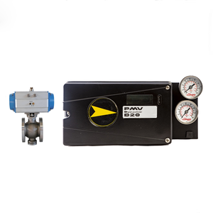 PMV D20 de Alta Precisión con Instrumentación Wuzhong - Product Image 1