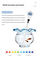 PH-mètre personnalisable testeur de qualité de l'eau pour fruits sol viande eau lait cosmétiques support OEM