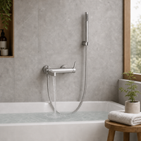 Ensemble de mitigeur de bain et de douche en acier inoxydable 304 résistant à la corrosion, sans plomb, durable, finition brossée, avec douchette à main