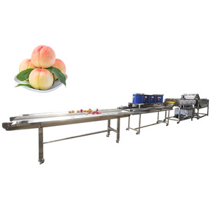 Plantas congeladas Starfruit lavado y línea <span class=keywords><strong>de</strong></span> procesamiento en seco - Product Image 2