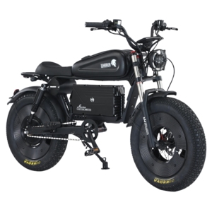 Moto électrique JYOP SK1 1500W, 48V 30Ah/60Ah, pneus larges, tout-terrain, autonomie 80-100KM, vitesse maximale 60KM/H, suivi GPS - Product Image 3