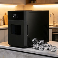 Machine à glaçons automatique OEM pour la maison, machine à slush portable électrique, machine à glaçons en cristal avec différents moules de forme