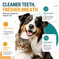 Poudre de Soin Bucco-Dentaire en Gros pour Animaux, Désodorisant Canin à Base d'Algues Marines avec Bacillus Coagulans, Éliminateur de Plaque pour Chats et Chiens