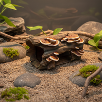 Cachettes et grottes décoratives pour reptiles, logement en bois pour se cacher, grotte pour reptiles