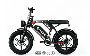 Vélo Électrique Tout-Terrain à Pneus Larges 250W, Moteur Arrière, Batterie Lithium Amovible 48V, <span class=keywords><strong>VTT</strong></span> Adulte pour Déplacements Quotidiens sur Routes Rurales, Vente en Gros - Product Image 2