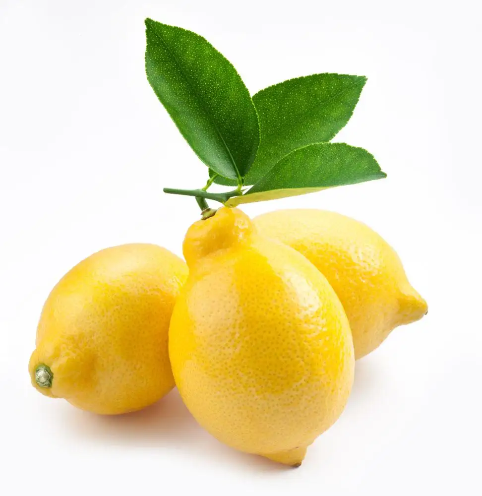 100% organico e Sano di Szechuan Limone con il Prezzo Più Competitivo di limone fresco frutta