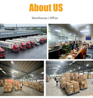 Dropshipping d'Entrepôt Gratuit Depuis la Chine, Fournisseur de Dropshipping à Livraison Rapide, Agent Dropshipping FBA LCL DDP pour l'Europe