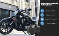 Nouvelle bobine d'allumage 31655-99 2102-0225 0,5 OHM Single Fire pour Dyna Softail Touring Sportster 1999-2006 Garantie de 6 mois