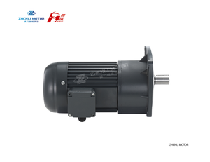 <span class=keywords><strong>Motorreductor</strong></span> de CA pequeño de la serie G con certificación CE ISO9001, 100W, 200W, 400W, 0.1kW, 0.2kW, 0.4kW, con relación de reducción 1:10, 1:20, 1:50 - Product Image 3