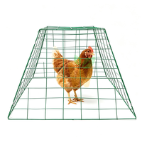 Enclos à poulets pliables en acier galvanisé soudé, portables et économiques, clôture de ferme pour les passionnés de pigeonnage