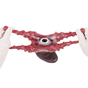 GEEBA Hollow <span class=keywords><strong>Anal</strong></span> <span class=keywords><strong>Plug</strong></span> & Textured Stroker, stimulateur <span class=keywords><strong>anal</strong></span> texturé en silicone, masturbateur <span class=keywords><strong>pour</strong></span> hommes, jouets sexuels <span class=keywords><strong>pour</strong></span> adultes - Product Image 5