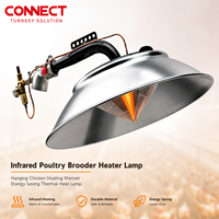 Lampe chauffante infrarouge suspendue pour poussins et volailles, abat-jour pour chauffe-poussins, lampe thermique à économie d'énergie
