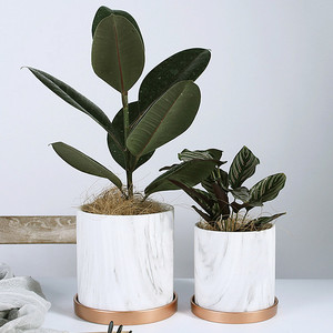 Maceta de orquídeas y mariposa nórdica, cerámica creativa de lujo, <span class=keywords><strong>con</strong></span> bandeja, gran oferta - Product Image 3